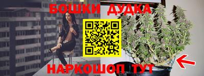 индика Кумертау