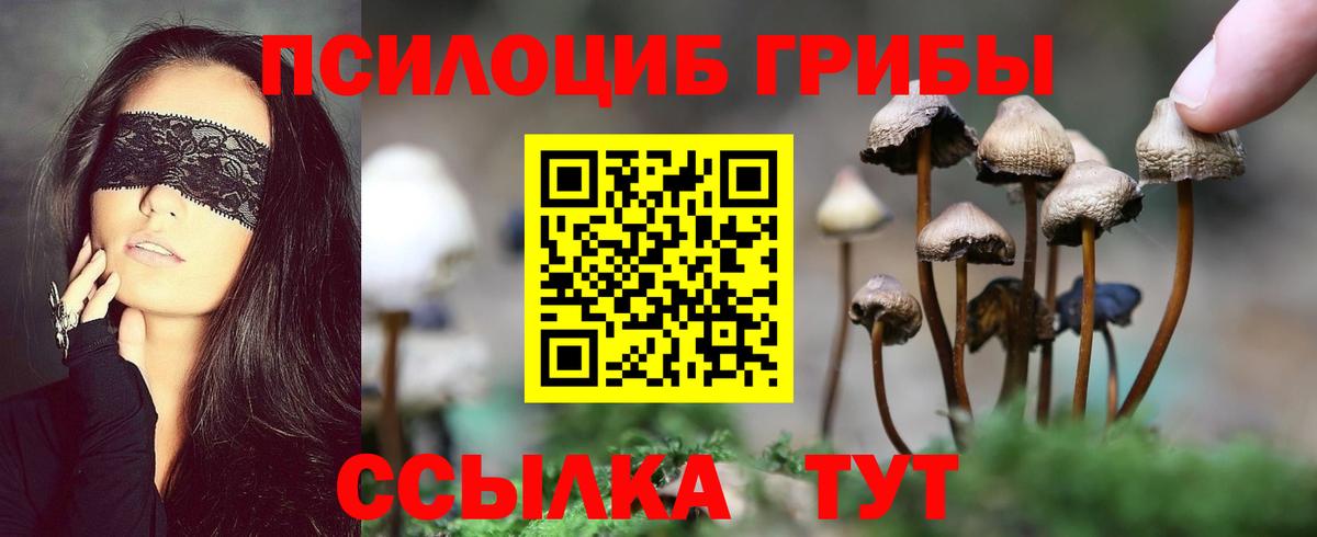 Галлюциногенные грибы ЛСД Добрянка